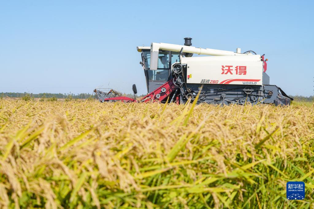 新濠博亚官网